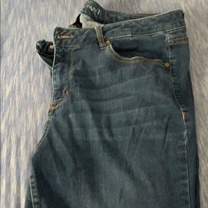 Lane Bryant jeans